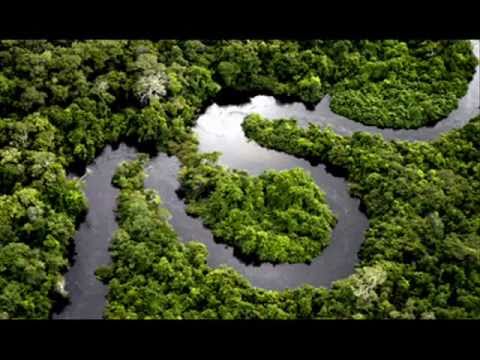 Mara Maravilha Lançamento p/ os Pequeninos vol.4 - Salve Amazonia.wmv