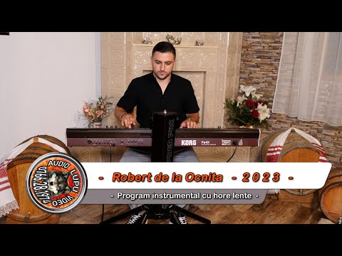 Robert de la Ocnita - Program instrumental cu hore lente - Valea Doftanei 2023
