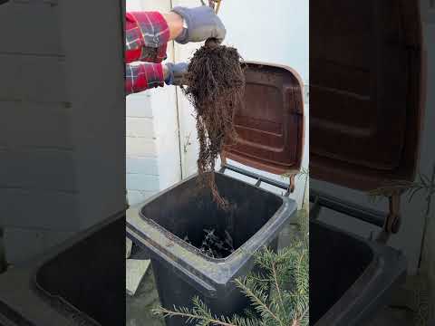 Alterde retten: Nachhaltig gärtnern, Mülltonne meiden.