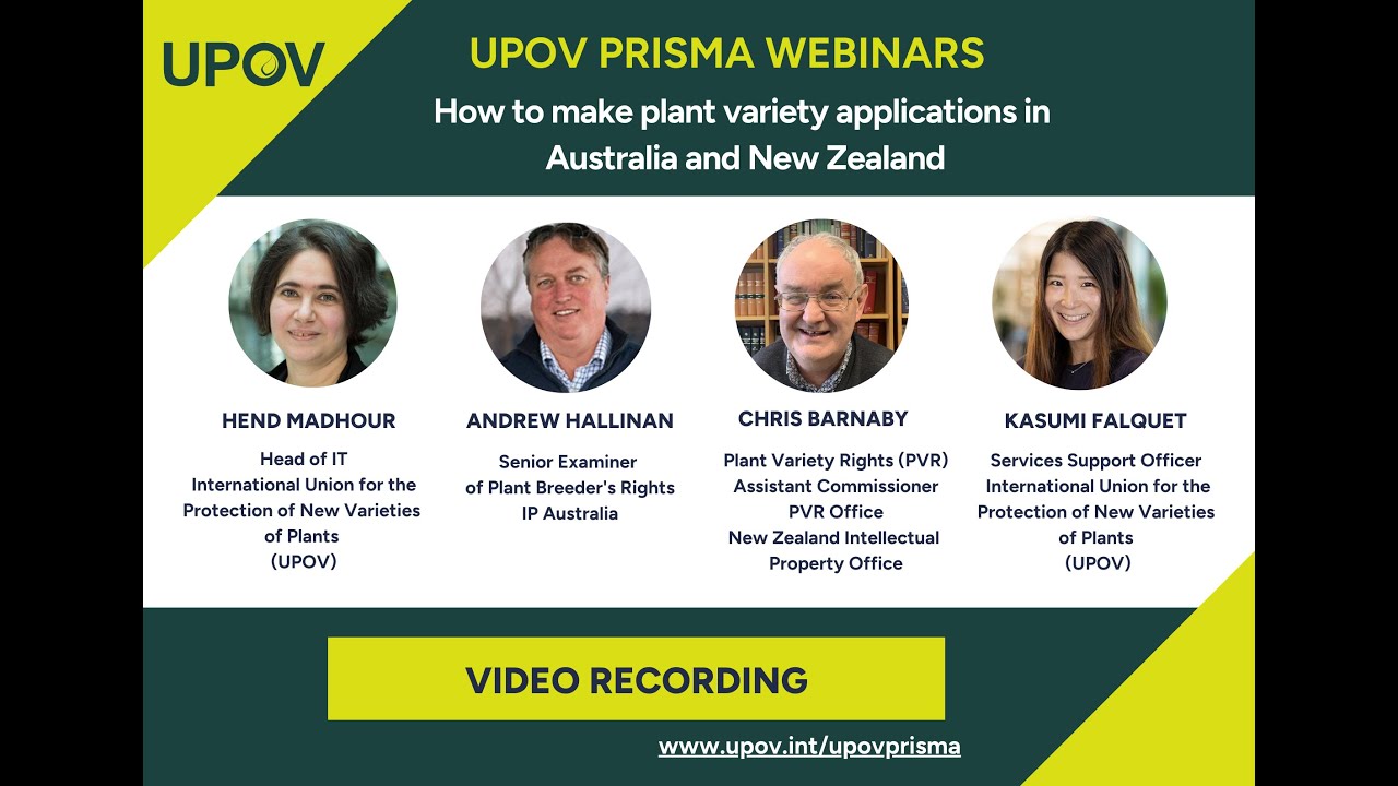 How to make plant variety applications in Australia and New Zealand using UPOV Prisma.