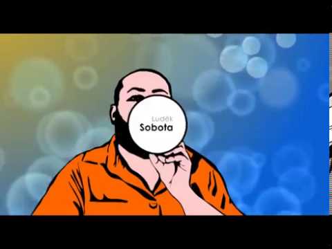 DH v DH Luděk Sobota