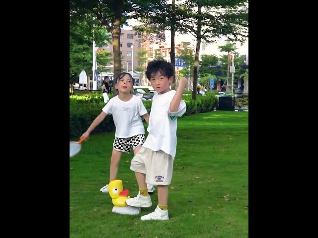 Video Teaser für 83905 Frisbee Funny Puppy video