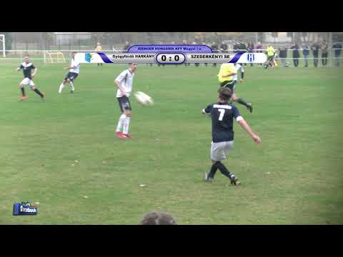 GYÓGYFÜRDŐ HARKÁNY - SZEDERKÉNYI SE    0 - 0