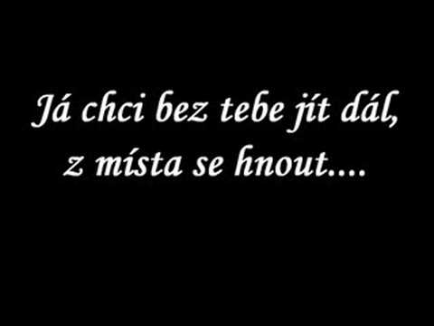 Šárka Vaňková-Stín