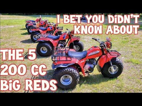 FIRST EVER Honda Big Red 200E & 200ES Line Up!  All 5 variations in a video for the first time EVER!