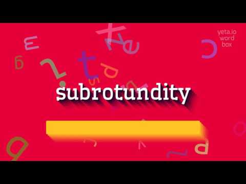HOW TO SAY SUBROTUNDITY? #subrotundity