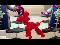 Poodle