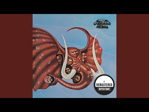 Record Shop - Weston