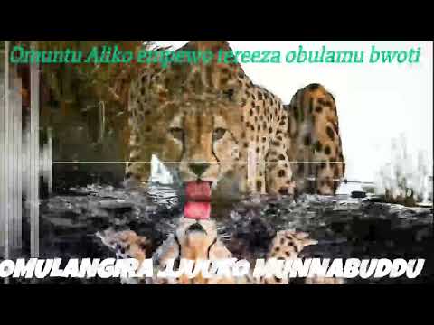 Omwana omuto aliko embeera ezitategerekeka - Omulangira Jjuuko Munnabuddu