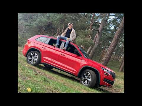 Damiano - Progress (NoBoCoTo production)