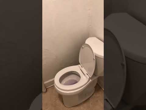 4 Bedroom Available August;  Monthly rent $3,240 property video