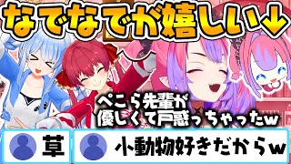 いつもより優しいぺこら先輩に思わず戸惑っちゃう照れ屋なヴィヴィちゃんw【ホロライブ切り抜き/兎田ぺこら/綺々羅々ヴィヴィ/宝鐘マリン】