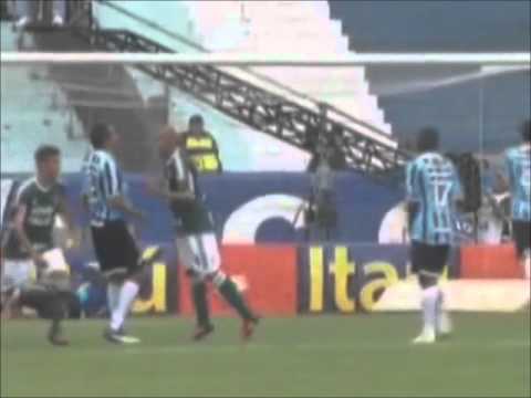Marcos Assunção - Todos os gols de falta