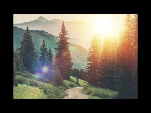 Ittzés István - Helyzetkép a túlvilágról