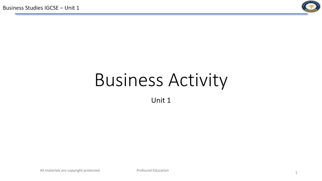 IGCSE Business studies 0450   Unit 1 Business activity