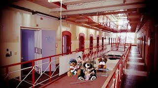 Folsom prison blues-cover - by Bobby Bear &amp; The Texas Teddybears