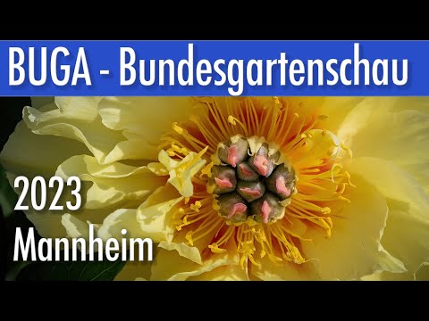 BUGA - Bundesgartenschau 2023 - Mannheim - mehr ein Besucht als ein Photowalk