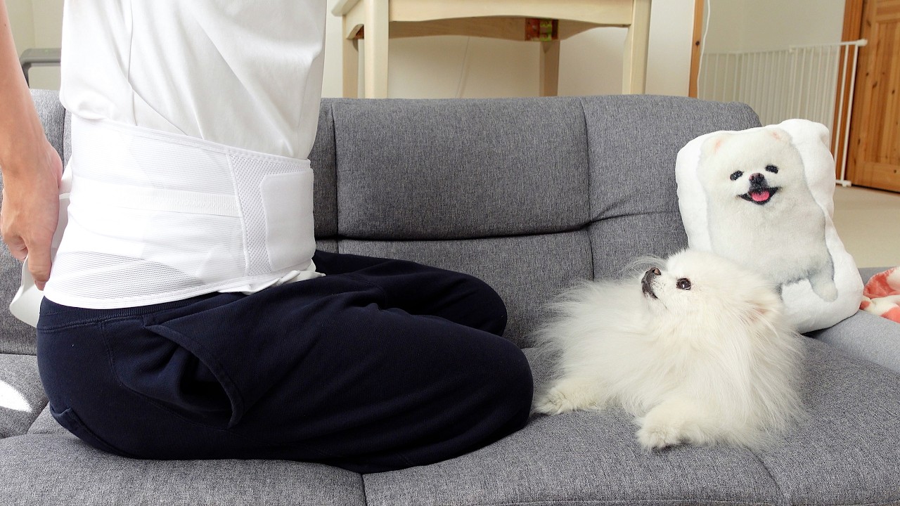 椎間板ヘルニアになってしまいました。