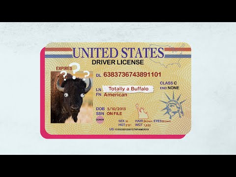 DEMYSTIFIED: Buffalo vs Bison: What Is the Difference Between Bison and Buffalo | Britannica