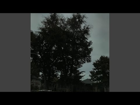 i wonder if you still think of me because you're kinda all i think about (feat. Seejayxo)