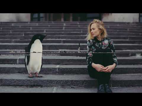 Kojun X Zaena - Count On Me Electronic Premiere - No Copyright Music