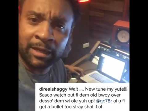 Assassin aka Agent Sasco Vs Shaggy - Instagram Clash!