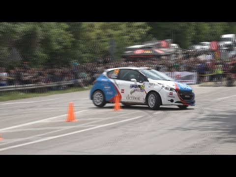 2017 Rally Bulgaria / Ahmet Burkay - Burak Akçay / Peugeot 208 R2