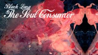 Black Lung - Succulent Bruises And Bruised Roses