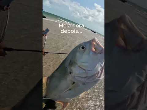 Aquela briga histórica com um Xaréu - São Caetano de Odivelas