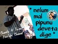 Nelum Mal Pipunu Dewata Dige