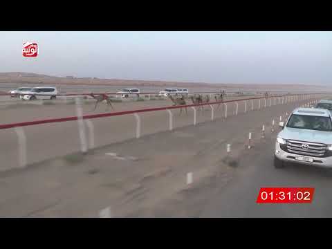  ش 3 (الشاهينيه) لـ حمد بن سعيد باطير العامري 3:07 ، شارة صندوق الحلفه 2026/07/26 فطامين الجبيب
