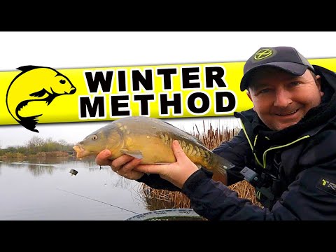 Winter Carp on the Method Feeder