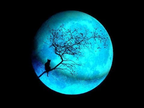 Jan Morks ~ Forbidden games