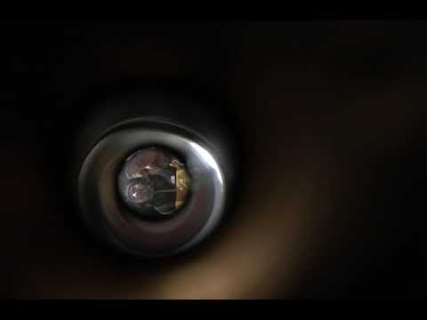 DEPS - HOMEMADE WORLD