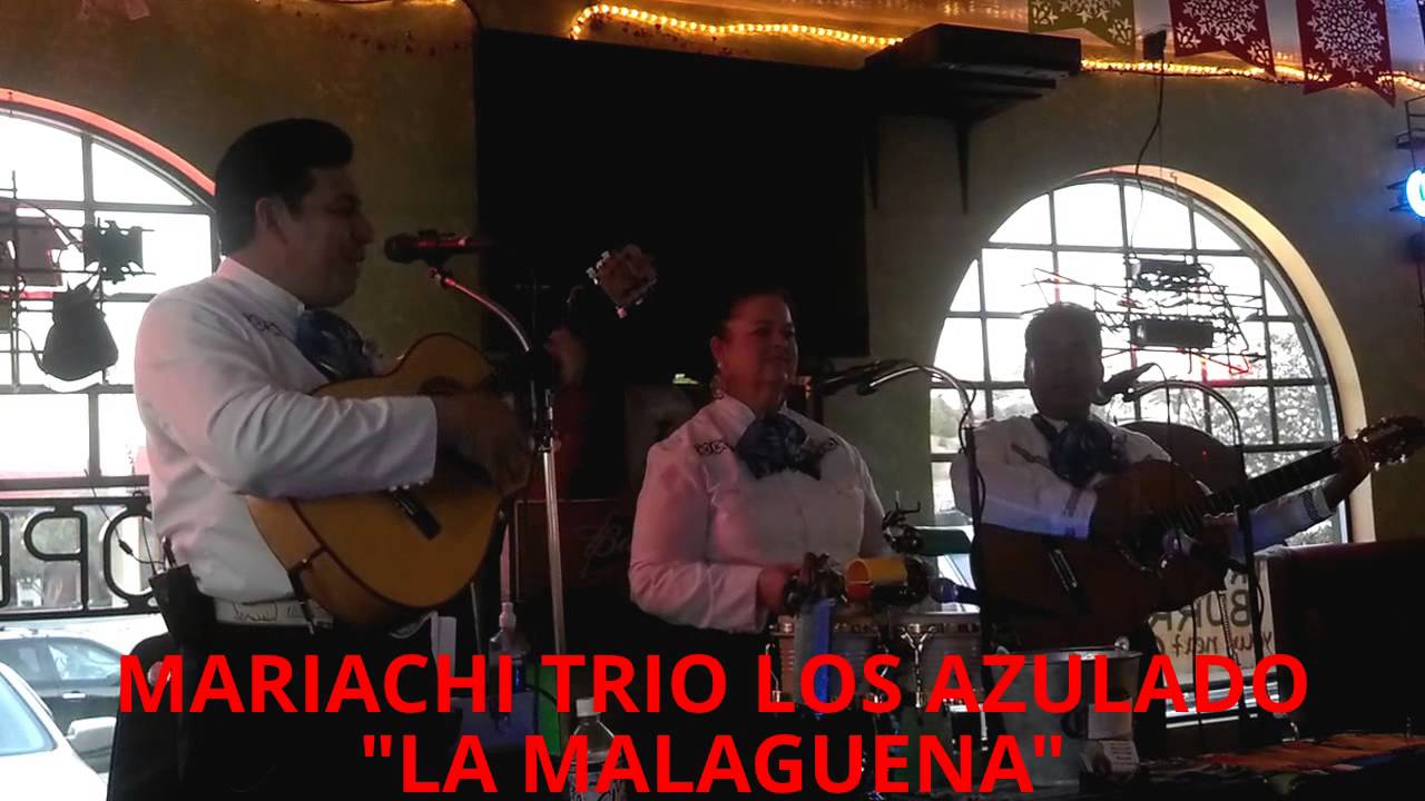 Promotional video thumbnail 15 for Mariachi Trio Los Azulado