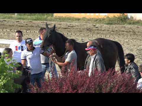 dodela nagrade internacionalne trke