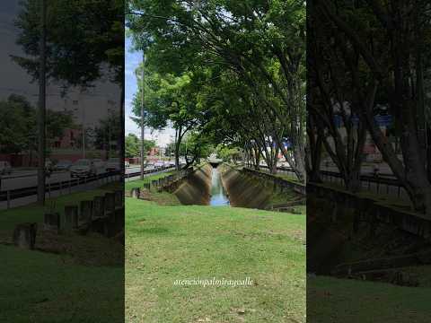 #cali #parati #valledelcauca #colombia #fyp #foryou