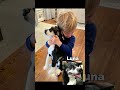 More Than Just A Stuffed Animal MyPetsies
