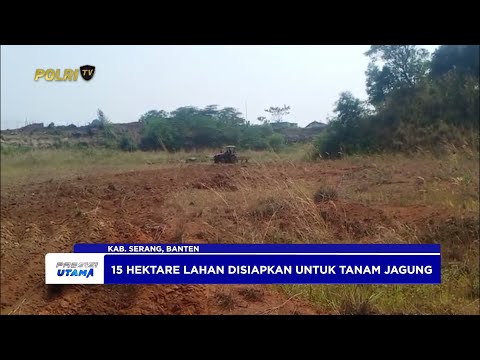 POLSEK KRAMATWATU BUKA LAHAN 10 HEKTARE UNTUK TANAM JAGUNG
