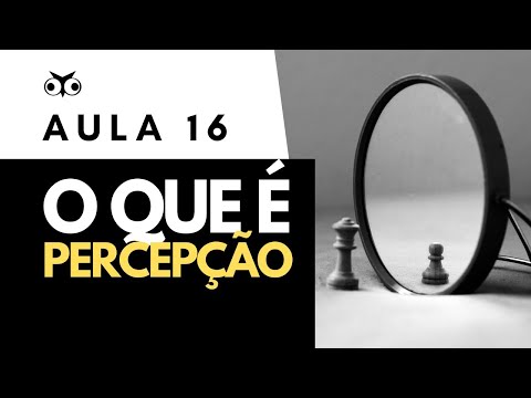 O que é percepção? | Introdução Geral à Filosofia | Prof. Vitor Lima | Aula 16