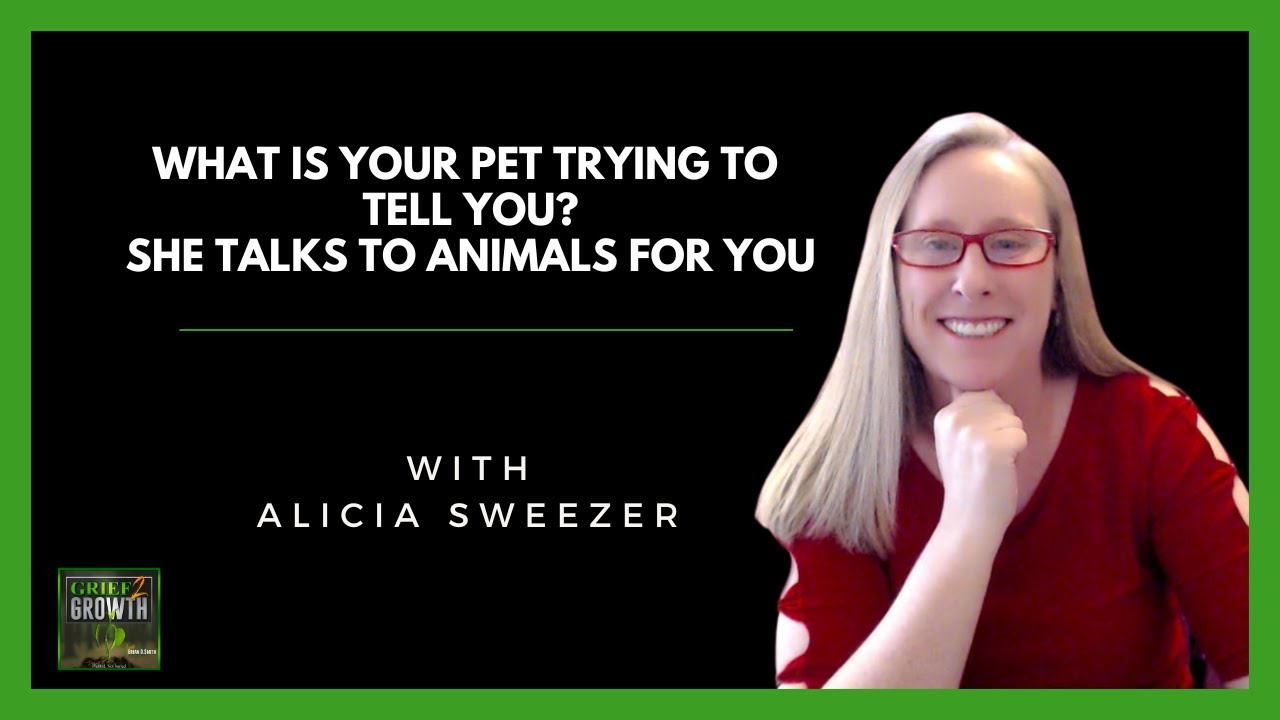 UNVEILING Hidden Wisdom: The POWER of Our Animal Companions!- with Alicia Sweezer EP 378