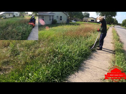 Cutting Overgrown CITY VIOLATION Yard In the Middle of a Man Hunt
