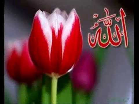 Peçeli Bülbül ve Sedat Uçan Düet Kalbim Seni Unuturmu