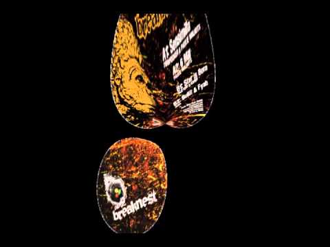 [Ragga Jungle] Breaknest 003 feat Mad Dem and Dijeyow ft Jera (Twinhooker & Paulie Walnut)