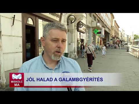 Videó előnézet