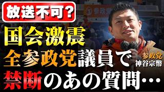 【憲政史上初の参政党国会質問プラン】神谷代表とんでもないプランをぶち上げる・・・ #参政党