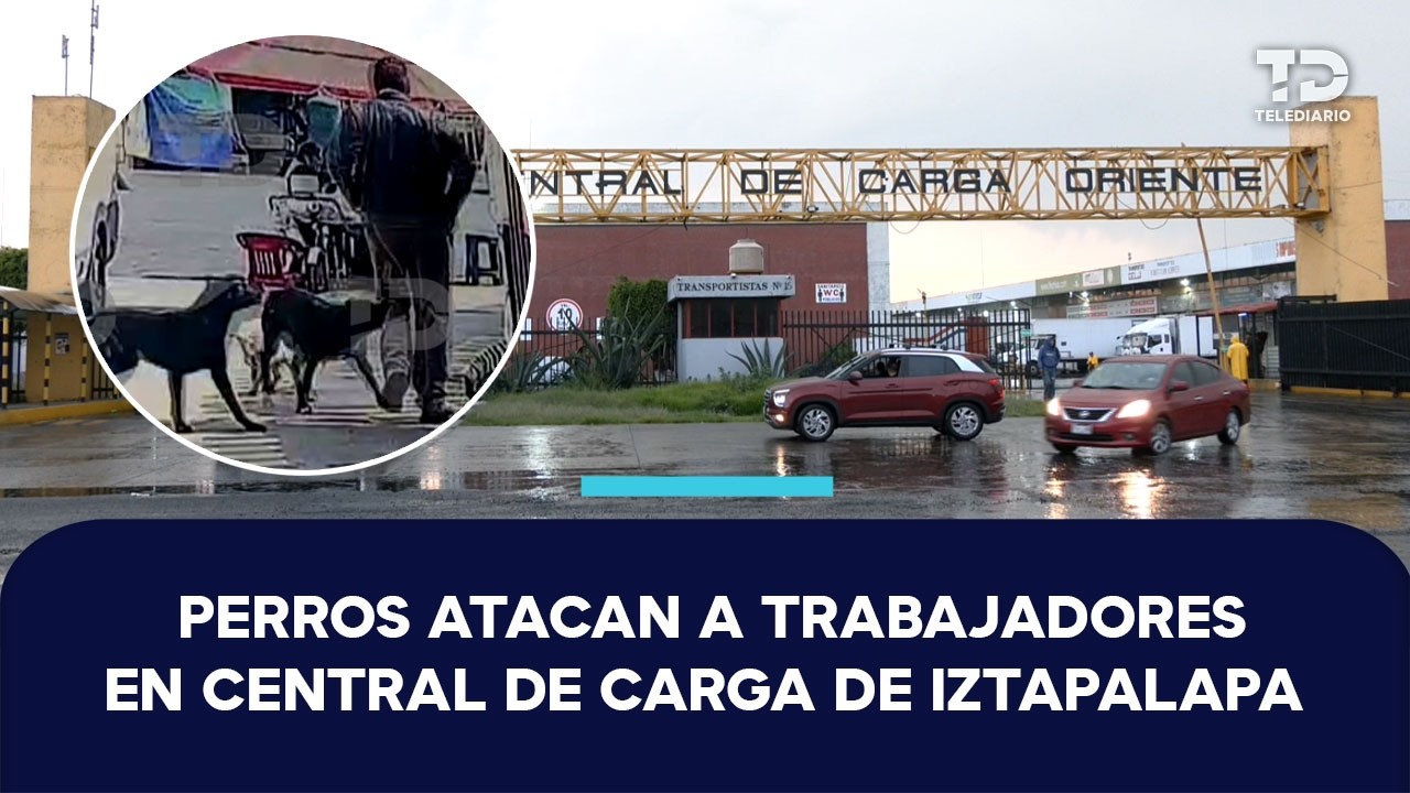 Trabajadores de la Central de Carga Oriente en Iztapalapa denuncian ataques de perros