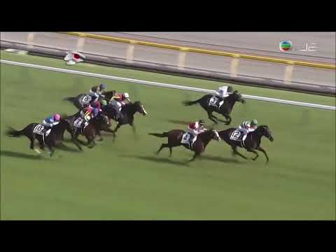 Tokyo Yushun (Japanese Derby) 2017 -  Rey de Oro