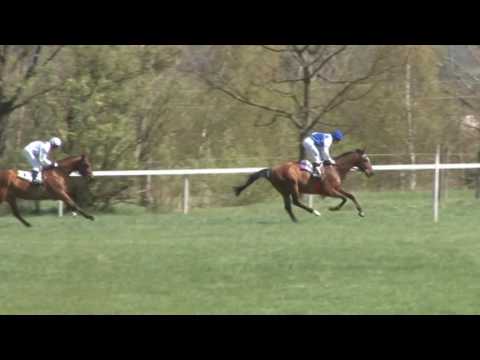 MI, 16. 4. 2017, 1. dostih - Cena města Mimoně