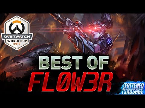 Best Of "Fl0W3R" The South Korean Overwatch World Cup MVP